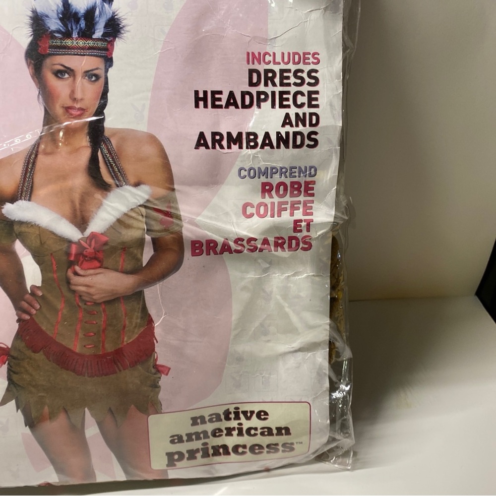Playboy Native American Princess Costume Large - Picture 2 of 4